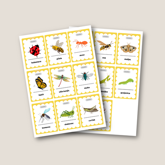 edukacijske kartice pdf ispis za insekti i male životinje
Edukativne kartice PDF za tiskanje – insekti i mali živali