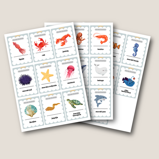 edukacijske kartice pdf ispis za MORSKIH ŽIVOTINJA
Edukativne kartice PDF za tiskanje – MORSKIH ŽIVALI